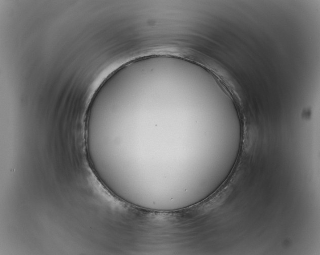 X0000111650808200907311315