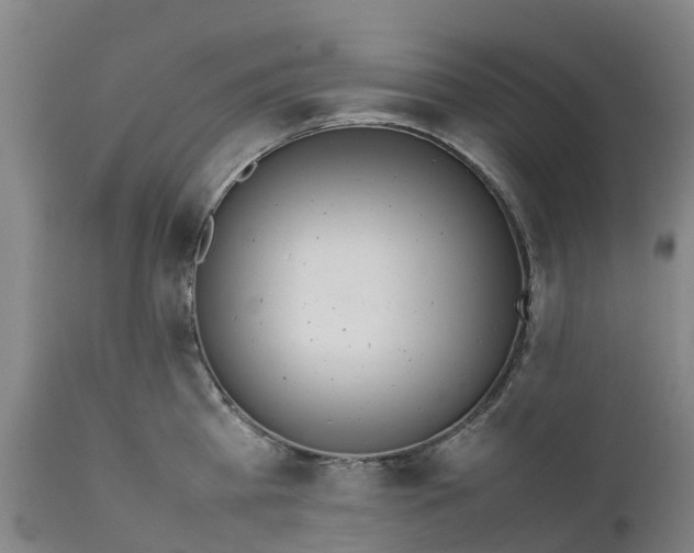 X0000111650809200907311315