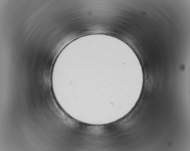 X0000111650810200907311315
