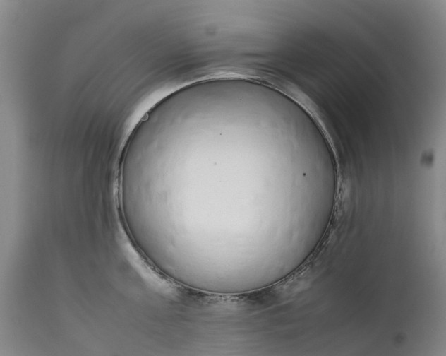 X0000111650811200907311315
