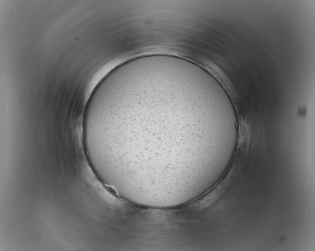 X0000111650812200907311315