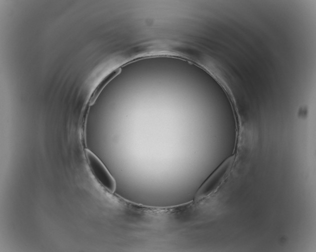 X0000111650813200907311315