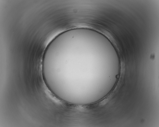 X0000111650814200907311315