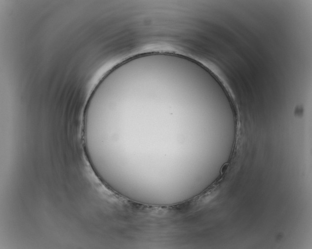 X0000111650815200907311315