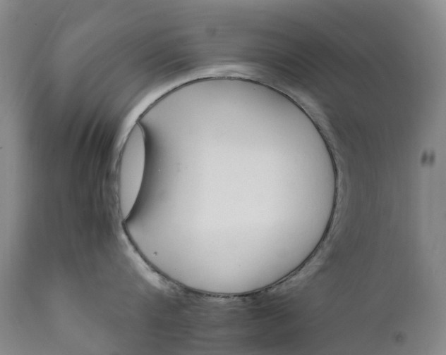X0000111650816200907311315