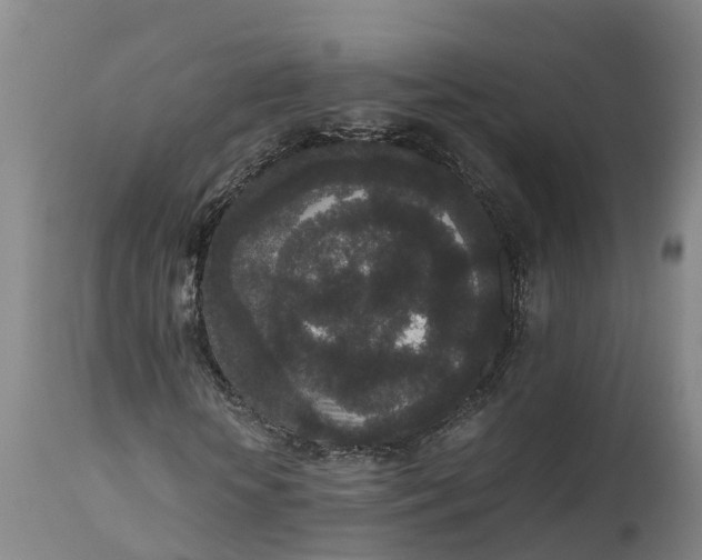 X0000111650818200907311314