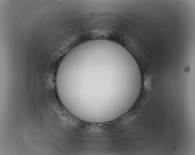 X0000111650819200907311314