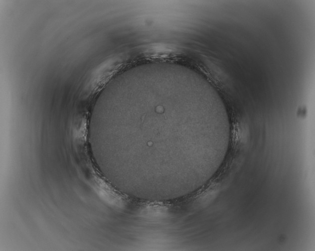 X0000111650820200907311314