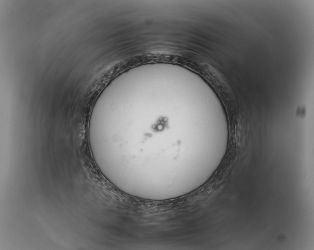 X0000111650821200907311314