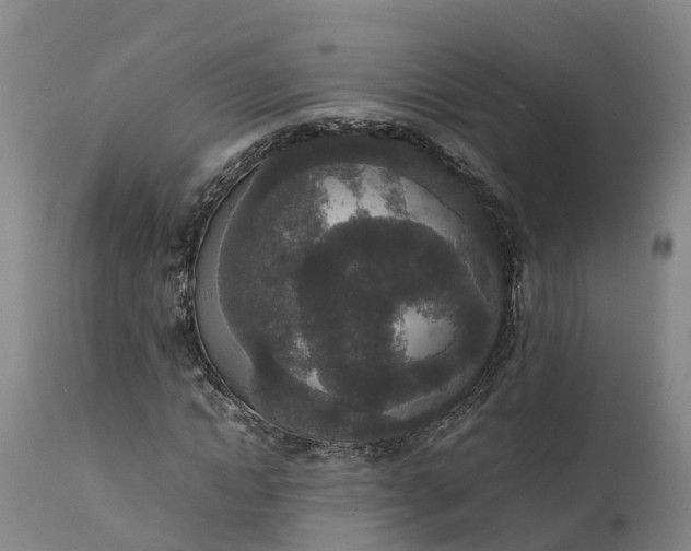 X0000111650822200907311314