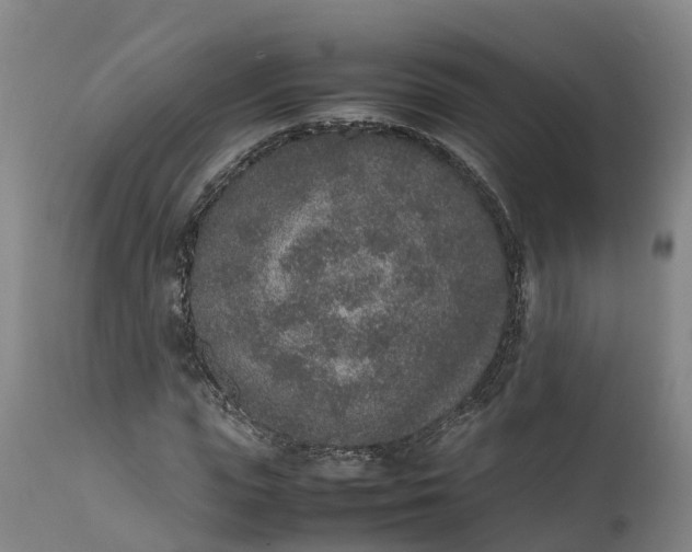 X0000111650823200907311315