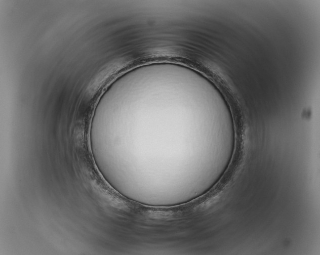 X0000111650825200907311315