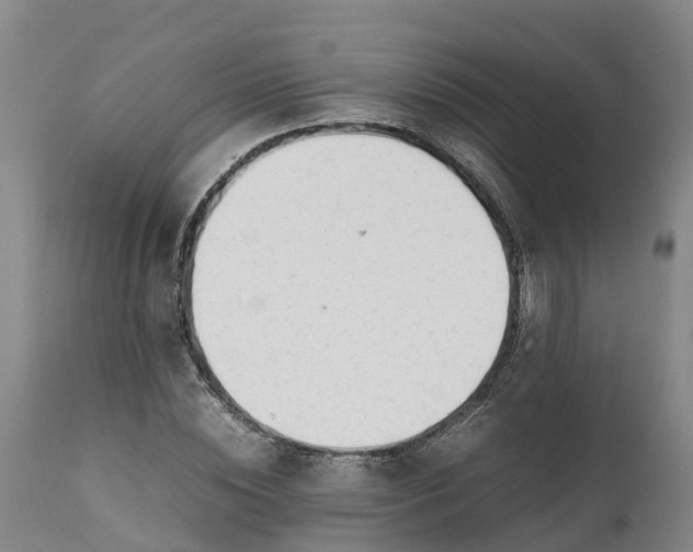 X0000111650828200907311315