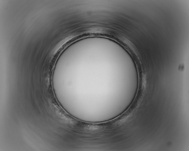 X0000111650829200907311315
