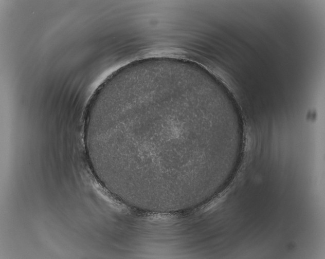 X0000111650830200907311315
