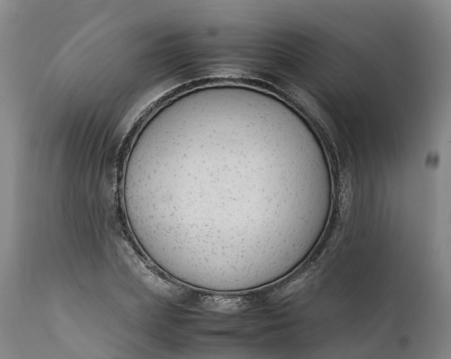 X0000111650831200907311315