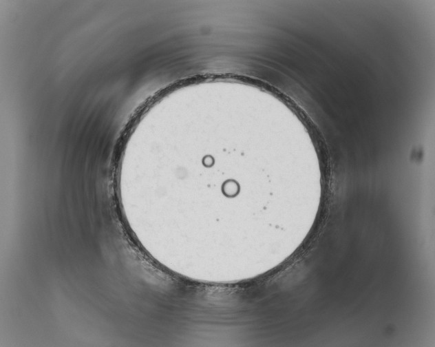 X0000111650832200907311315