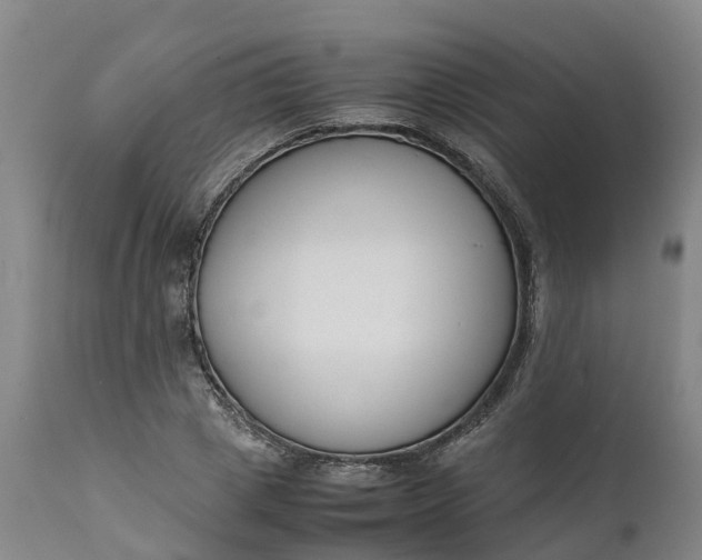 X0000111650833200907311315