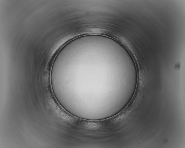 X0000111650835200907311315