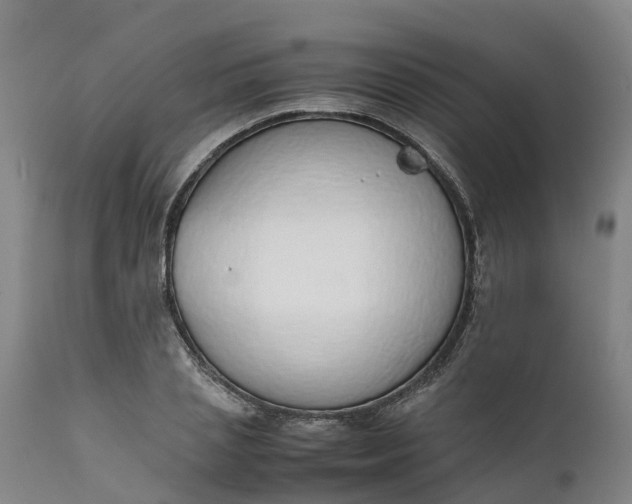 X0000111650837200907311315