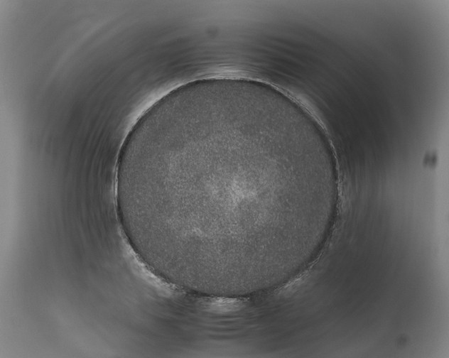 X0000111650839200907311315