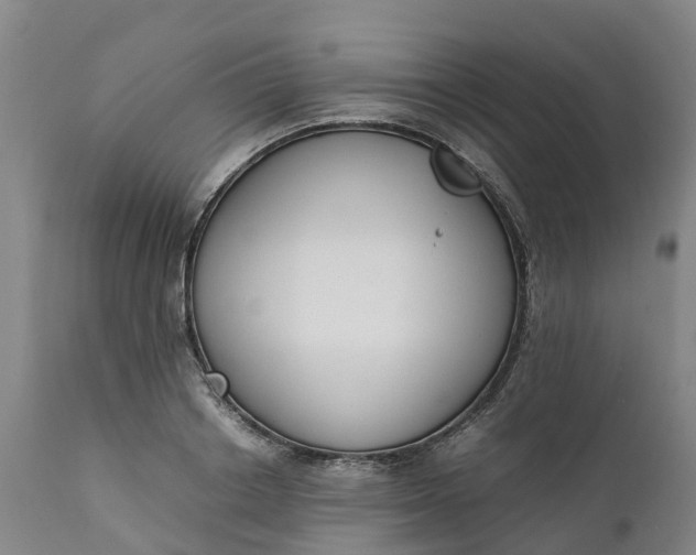X0000111650842200907311315