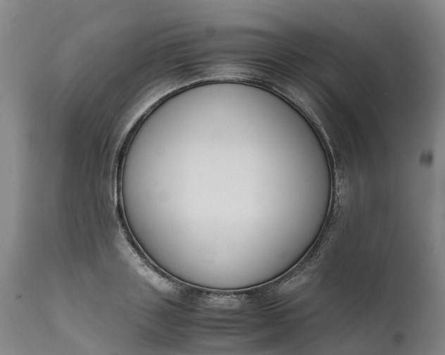 X0000111650843200907311315