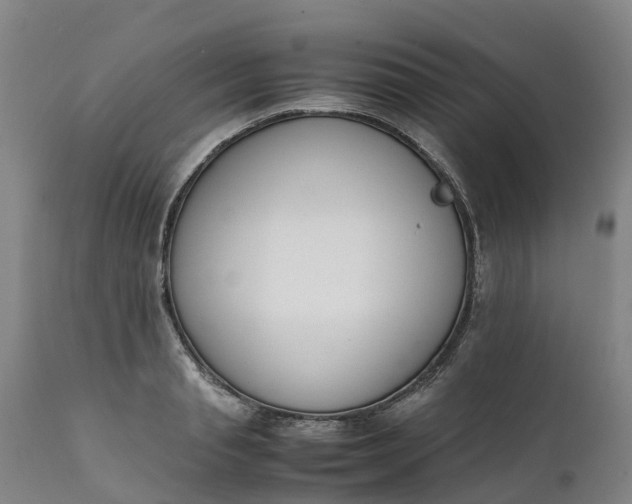 X0000111650845200907311315