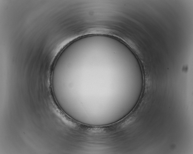 X0000111650846200907311315