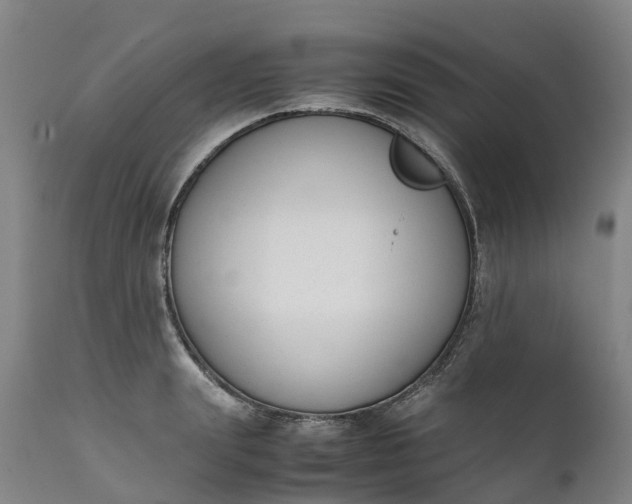 X0000111650847200907311315