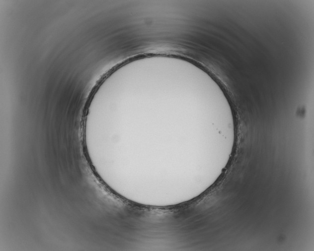X0000111650848200907311315