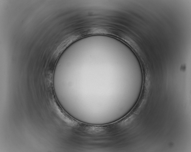 X0000111650849200907311315