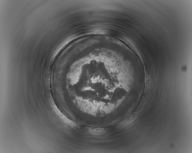 X0000111650851200907311315