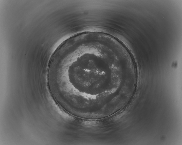 X0000111650853200907311315