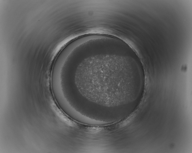 X0000111650854200907311315