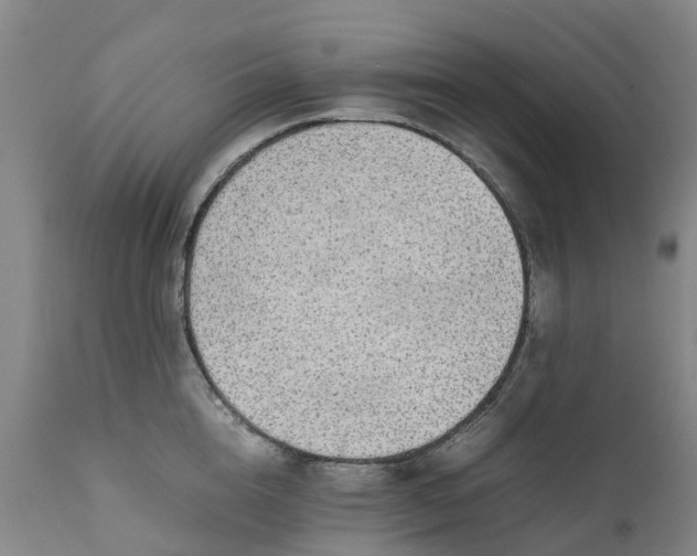 X0000111650856200907311315