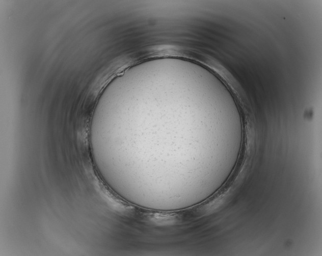 X0000111650857200907311315