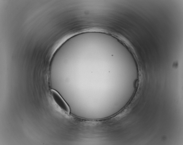 X0000111650860200907311315