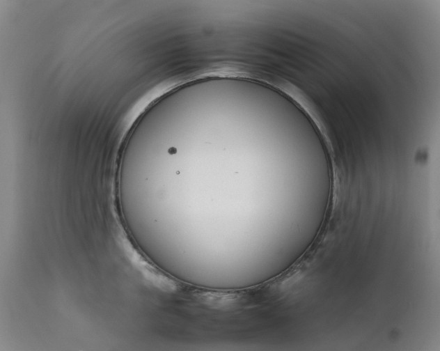 X0000111650861200907311315