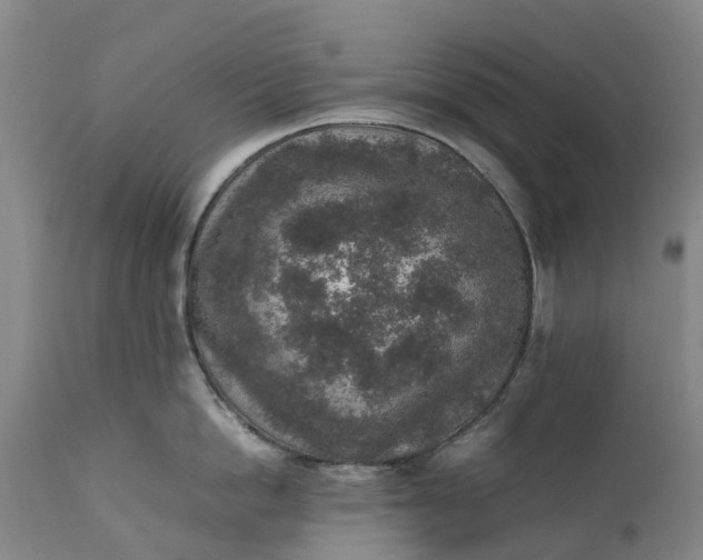 X0000111650862200907311315