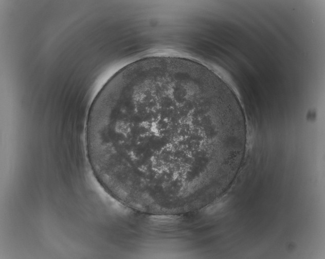 X0000111650863200907311315