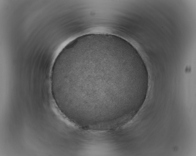 X0000111650864200907311315