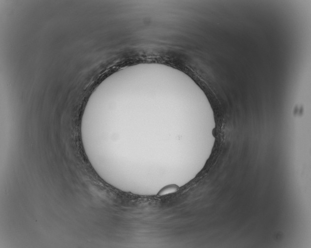 X0000111650865200907311314