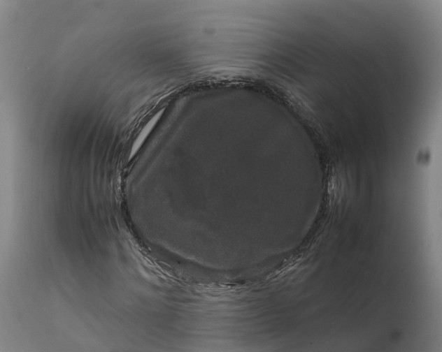 X0000111650868200907311314