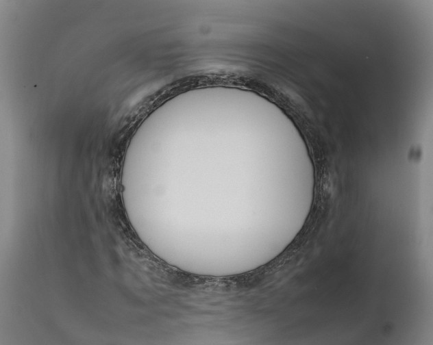 X0000111650869200907311314