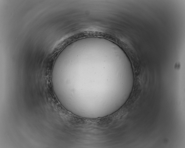 X0000111650870200907311314