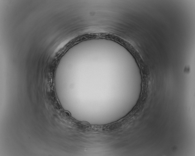 X0000111650871200907311314