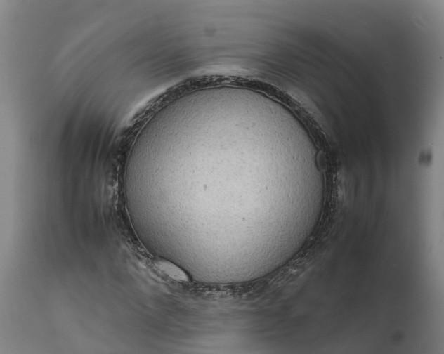 X0000111650872200907311314
