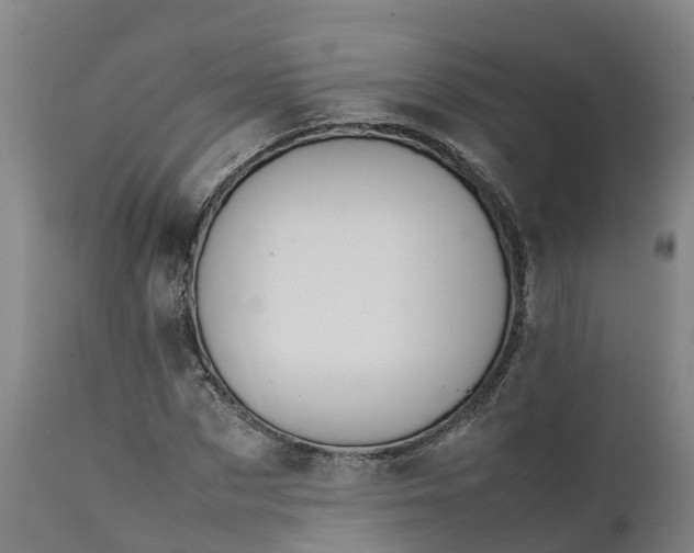 X0000111650873200907311314