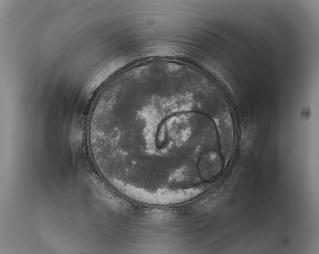 X0000111650874200907311314